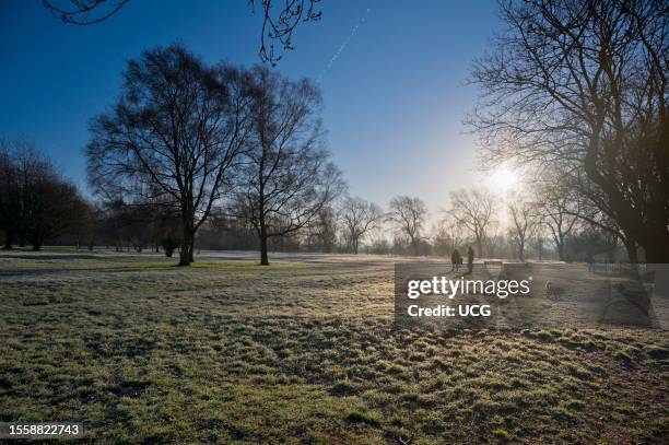 Walking the dog in Abbey Fields, Abingdon, winter morning.