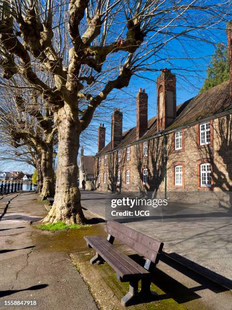 Bare trees and threatening shadows by the Thames at St Helens Wharf, Abingdon, in spring.