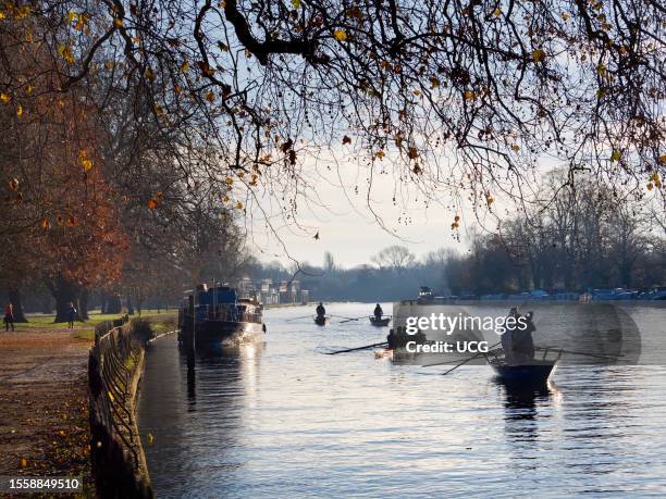 Venetian rowing on the Thames at Oxford.