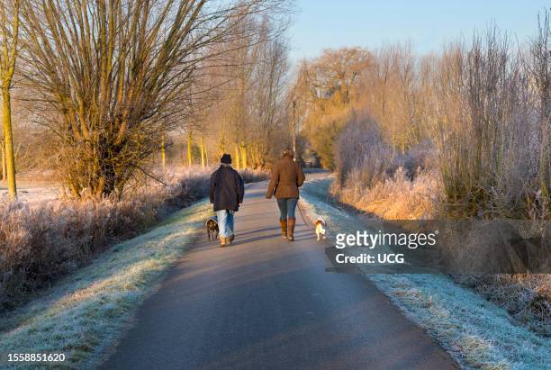 Walking the dogs on a footpath in Lower Radley Village, Oxfordshire.