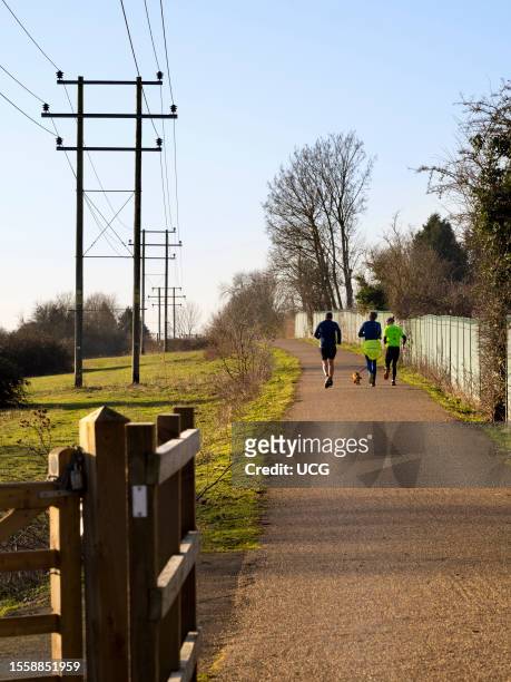 Dog jogging on Kennington Meadows, Oxfordshire.