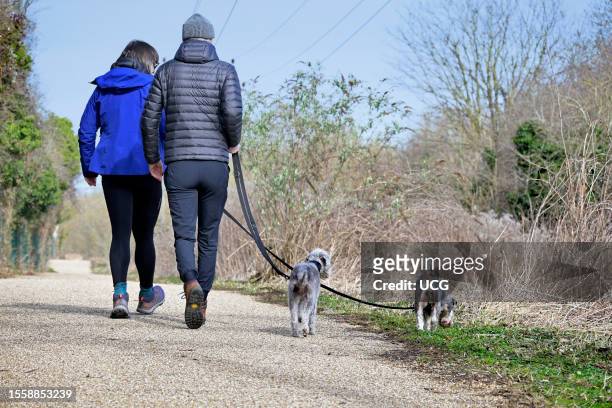 Dog walkers on Kennington Meadows, Oxfordshire.