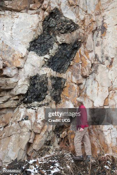 Castner Marble 16 Metasedimentary Stock Photos, High-Res Pictures, and Images - Getty ...
