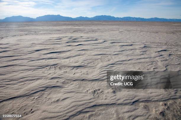 Alkali Flat, White Sands National Monument, New Mexico. Note the large wind-formed ripples.