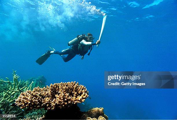 Wendy Craig-Duncan, a marine-biologist on Australia's Great Barrier Reef, carries the Sydney Olympic torch underwater at Agincourt Reef, Great...