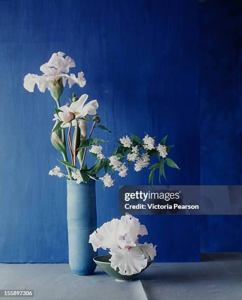 paperwhite narcissus and white irises. - iris plant stock pictures, royalty-free photos & images