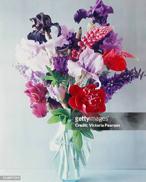 fresh flowers in a vase. - floral arrangement foto e immagini stock