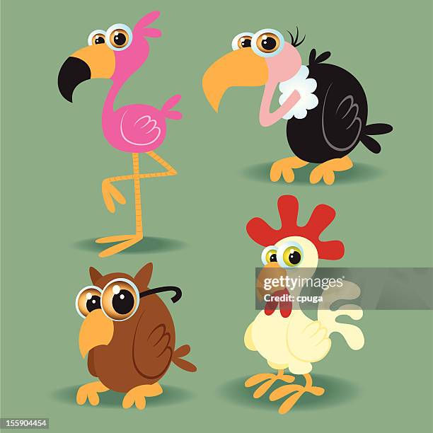 set of mixed birds - vulture vector stock illustrations