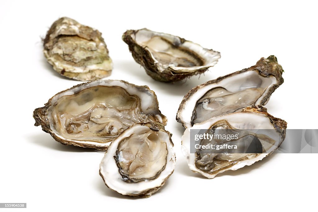 Fresh open oysters isolated on white