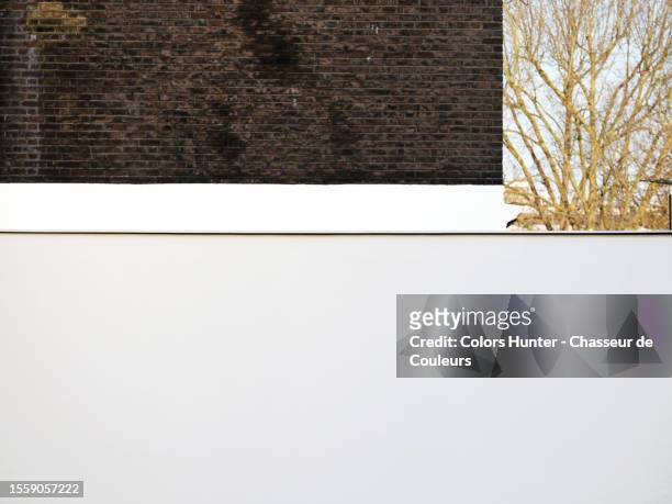 white concrete and old brown bricks walls with sunny trees in london, england, united kingdom - paint branch stock pictures, royalty-free photos & images
