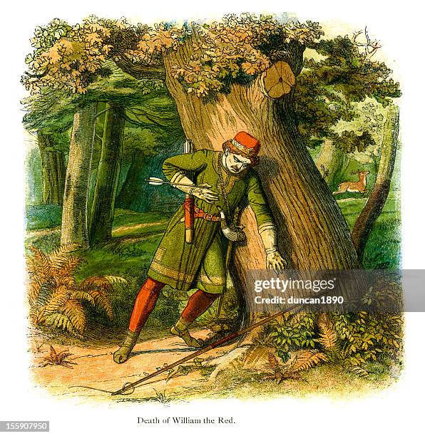 death of william the red - new forest stock illustrations