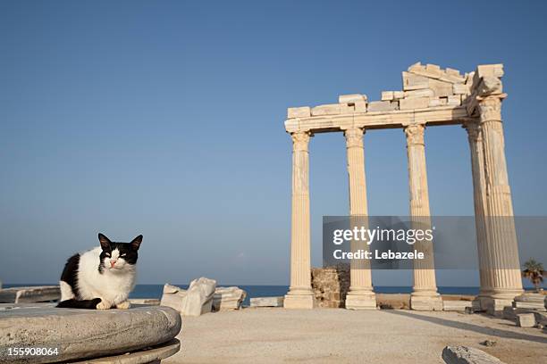 salle apollon avec table côté temple (turquie) - zone géographique historique photos et images de collection