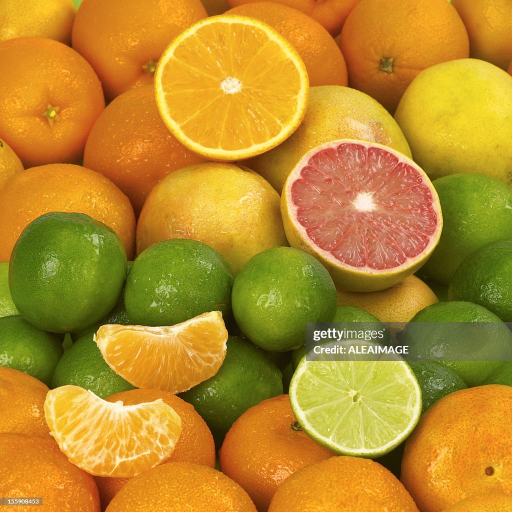 Citrus Fruits Composition