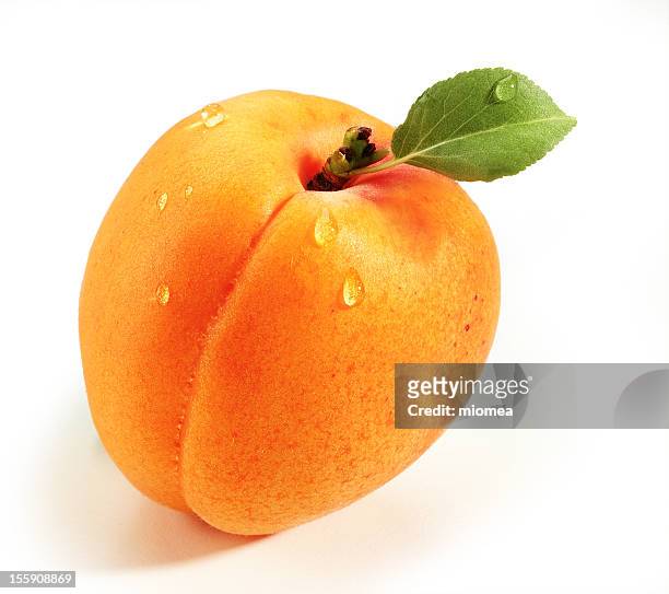 damasco - apricot fotografías e imágenes de stock