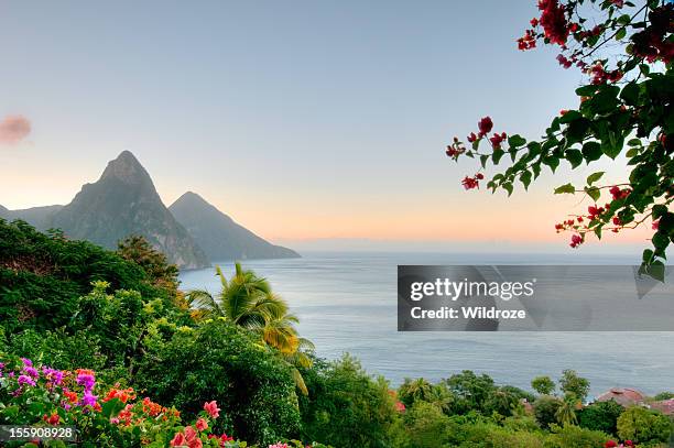 de santa lucía pitones en sunrise con camas gemelas - caribbean culture fotografías e imágenes de stock