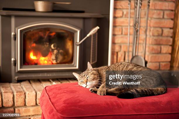 dormitorio de gato - wood burning stove fotografías e imágenes de stock