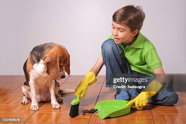 responsible dog owner - washing up glove stock pictures, royalty-free photos & images