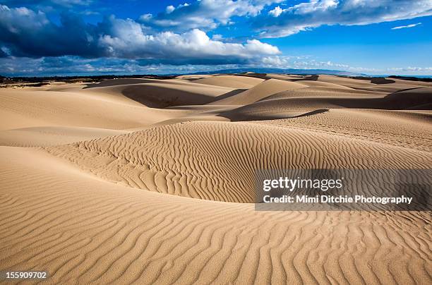 sand dune vortex - pismo beach stock pictures, royalty-free photos & images