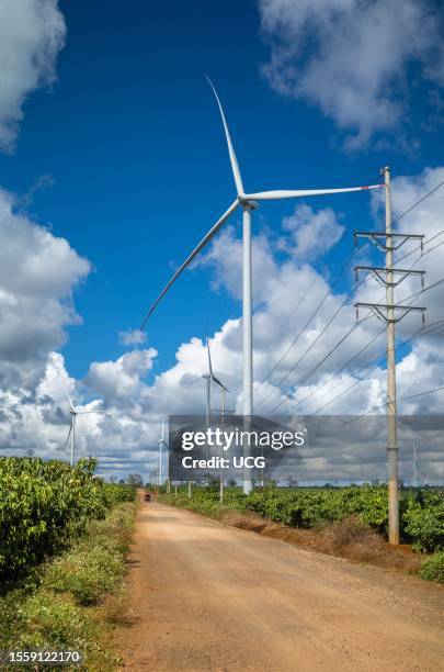 A rural track running alongside electricity transmission lines,... News ...