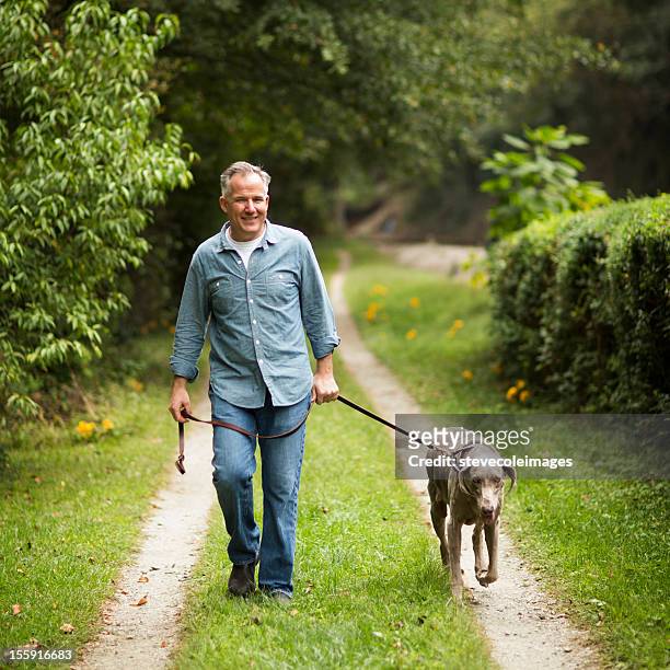 mature man with pet dog at park. - dog walker 個照片及圖片檔