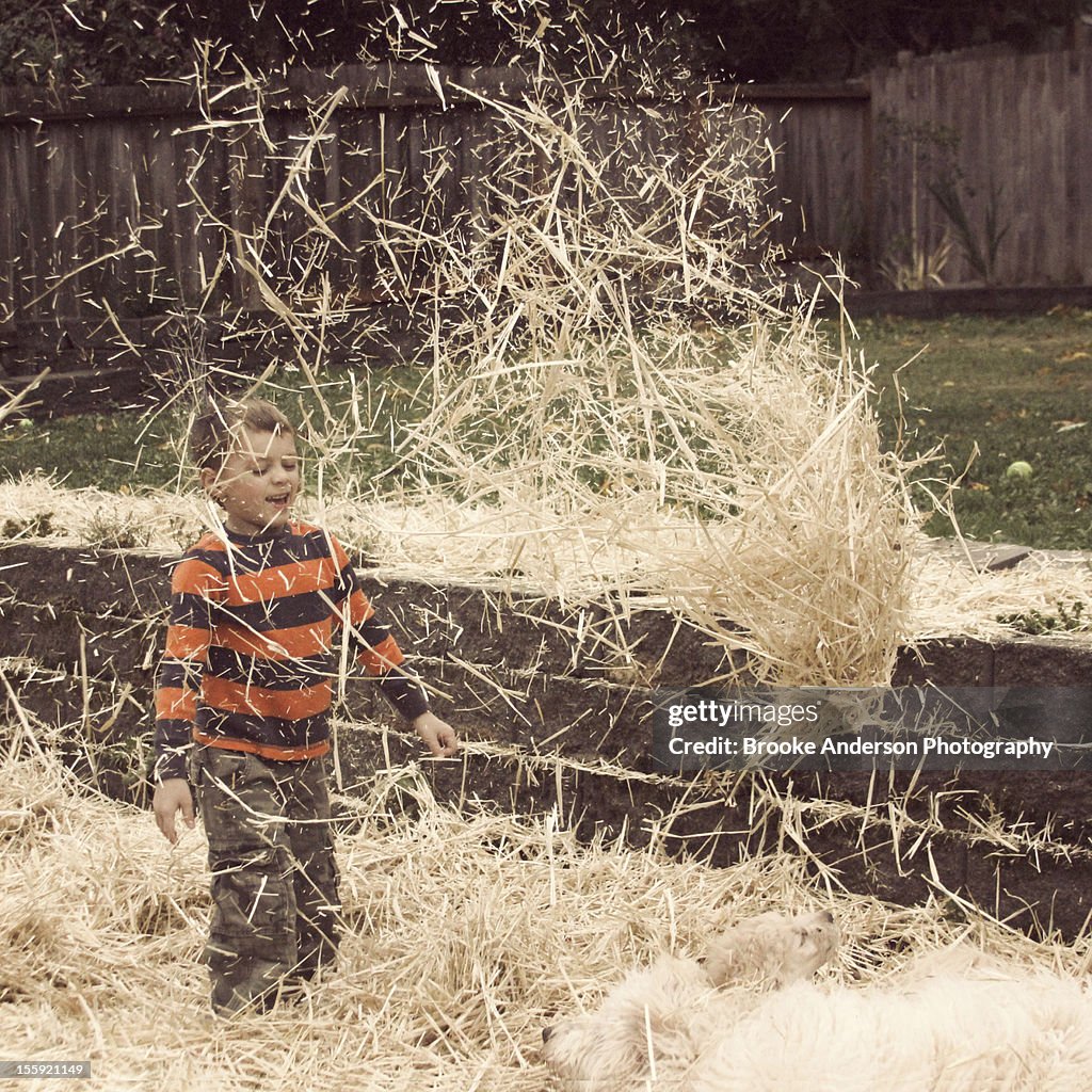 Boy Playing in Hay with Puppies