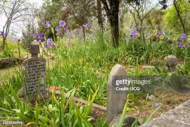 An Islamic cemetery located within the grounds of the castle in Alanya, Turkey. The purple flowering irises growing between the gravestones add a...