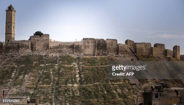 General view shows Aleppo's 5,000-year-old citadel, which towers 100 metres above the rest of the northern Syrian city and is now a government...