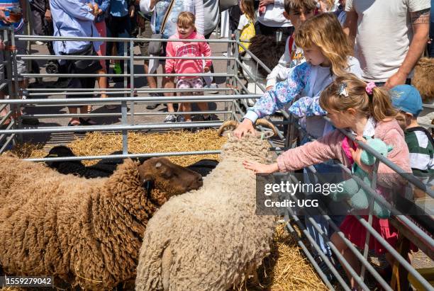 Children pet sheep at the annual Steyning Country Fayre in West Sussex, UK.