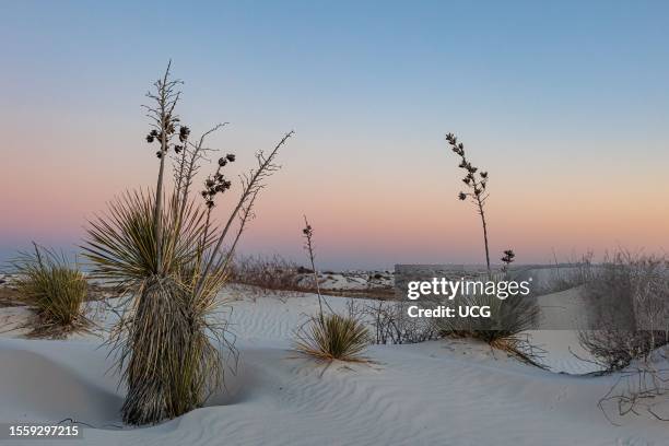 Gypsum dune fields at White Sands National Monument located within the Chihuahuan Desert and the Tularosa Basin near Alamorodo, New Mexico, USA.