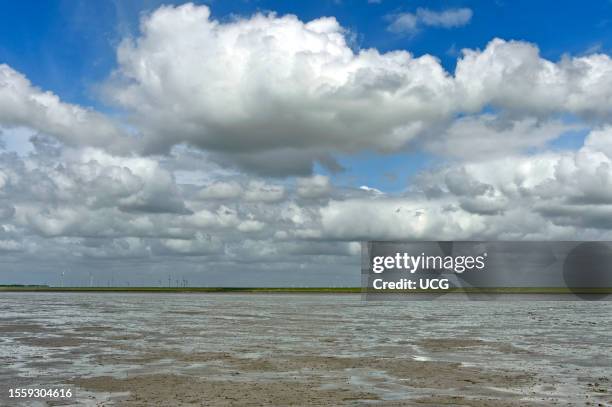 Cumulus clouds pile up over the mud flats at low tide, Wadden Sea of the North Sea, Schleswig-Holstein, Germany.