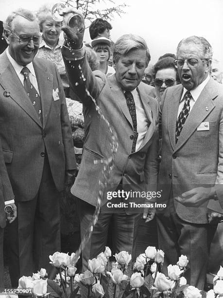 German Federal Chancellor Helmut Schmidt christens a new kind of tea roses with a glass of champaign at the German Federal Garden Show, June 13 in...