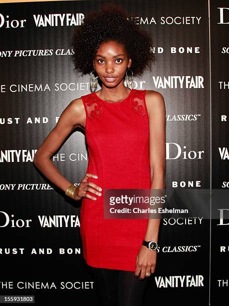 Adora Cobb attends The Cinema Society with Dior & Vanity Fair host a screening of "Rust and Bone" at Landmark Sunshine Cinema on November 8, 2012 in...