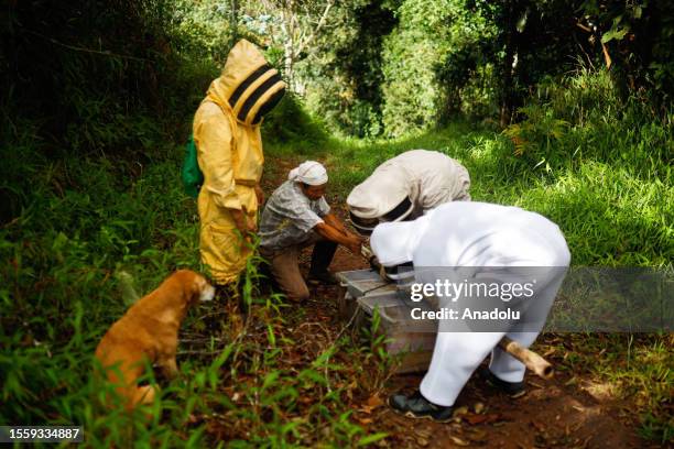 Beekeepers work on moving bees to places with water sources that allow them to more easily survive the predicted droughts since the lack of water and...