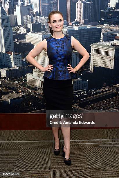 Actress Emily Deschanel attends FOX's "Bones" City of Los Angeles City Council Presentation at Los Angeles City Hall on November 9, 2012 in Los...
