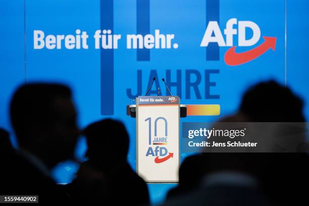 Delegates attend the 2023 federal congress of the right-wing Alternative for Germany political party on July 28, 2023 in Magdeburg, Germany. The AfD,...