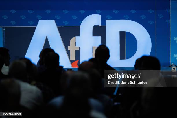 Delegates attend the 2023 federal congress of the right-wing Alternative for Germany political party on July 28, 2023 in Magdeburg, Germany. The AfD,...