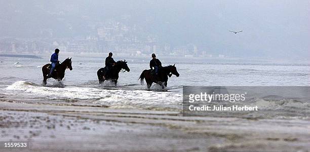 Three French work riders give their horses a relaxing wade through the sea off Deauville, France, after working on the beach prior to the afternoon...