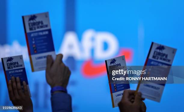 Delegates of the far-right Alternative for Germany party vote during the AfD's federal party congress at the trade fair in Magdeburg, eastern Germany...