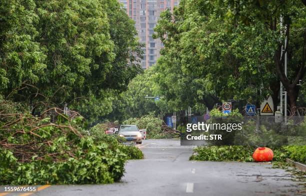 Destroyed trees are seen after Typhoon Doksuri landfall in Jinjiang, in China's eastern Fujian province on July 28, 2023. Typhoon Doksuri hit...