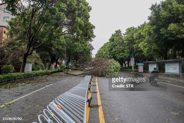 Fallen tree is seen after Typhoon Doksuri landfall in Jinjiang, in China's eastern Fujian province on July 28, 2023. Typhoon Doksuri hit southeastern...