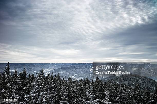 schwarzwald - tobias gaulke fotografías e imágenes de stock