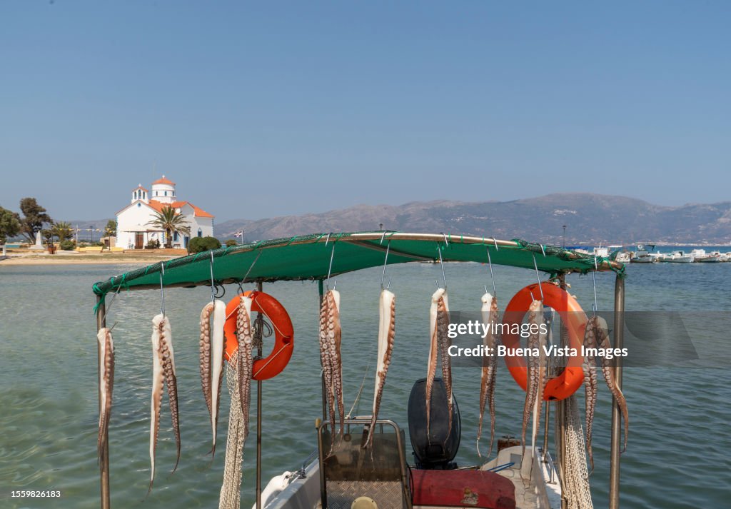 Drying Octopuses On A Boat In A Greek Island High-Res Stock Photo ...