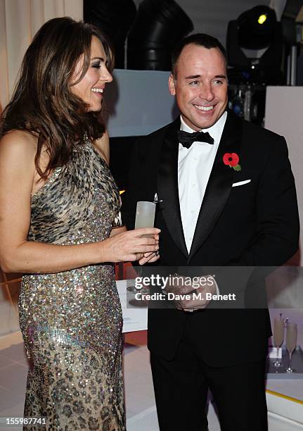 Actress Elizabeth Hurley and David Furnish arrive at the Grey Goose Winter Ball at Battersea Power Station on November 10, 2012 in London, England.
