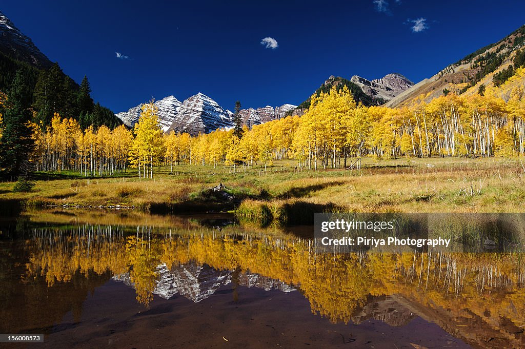 Fall colors at Colorado