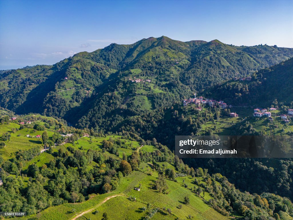 Turkey Rize Mountains Aerial View Of Tea Plantation In Rize Turkey High-Res Stock Photo ...