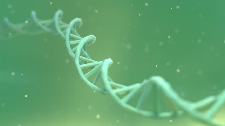Helix Animation Green Screen Dna Double Helix Structure Animation Dna Double Helix 3D
