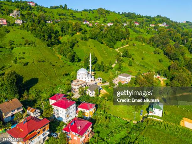 aerial view of tea plantation in rize, turkey - trabzon - fotografias e filmes do acervo