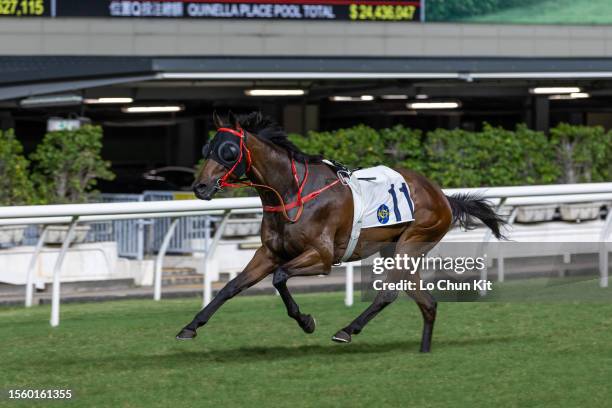 Horse Cheong Fat galloping riderless during the Race 6 Star Shine Handicap at Happy Valley Racecourse on July 12, 2023 in Hong Kong.