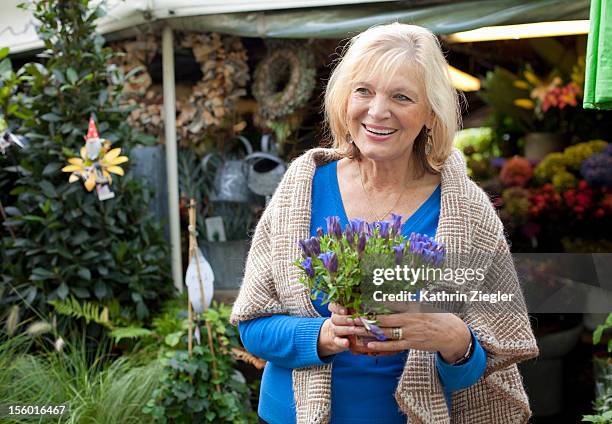 senior woman at garden shop, holding flower pot - herbstenzian stock-fotos und bilder