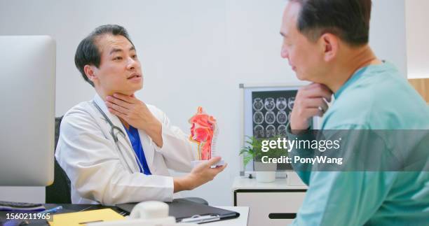 médico masculino muestra modelo de otorrinolaringología - enfermedad tiroidea fotografías e imágenes de stock
